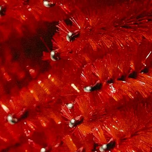 Refill Ritual at Salon Berardo in East Amherst, NY